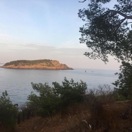 Fanny Wifi Climatise Tout A Pieds 4 Personnes La Ciotat Luaran gambar